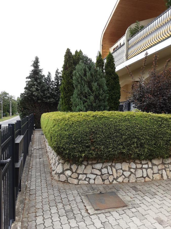 Jozefin Apartman ヘーヴィーズ エクステリア 写真